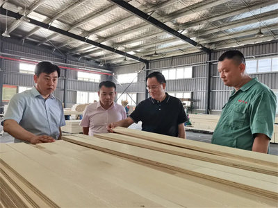攜手共進，共筑未來——熱烈歡迎中國木材保護工業(yè)協(xié)會會長劉能文一行蒞臨福慶參觀考察指導(dǎo)